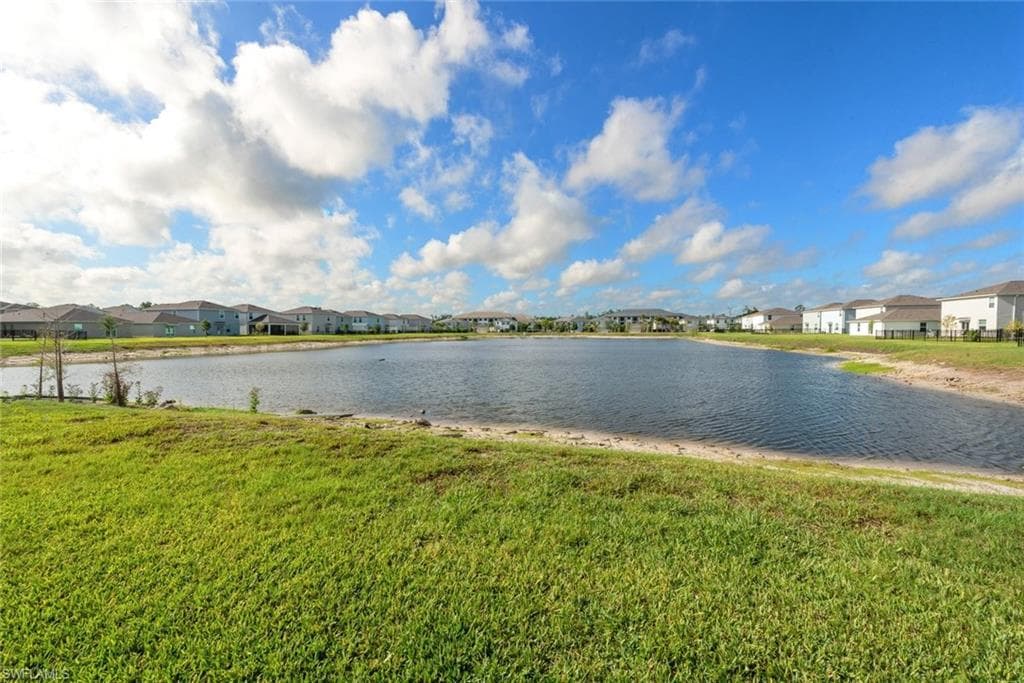 7149 Ponderosa Pine DR-4