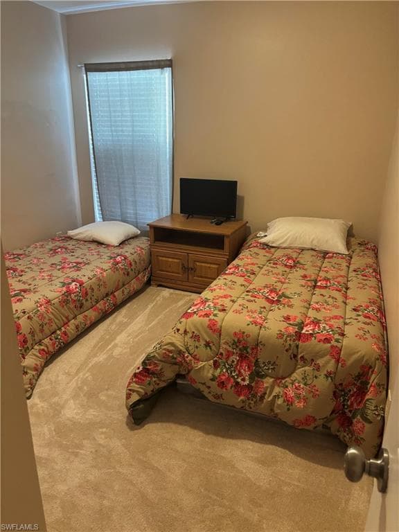 8031 Liriope LOOP-22