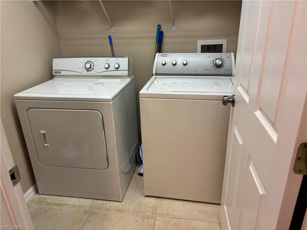 8031 Liriope LOOP-24