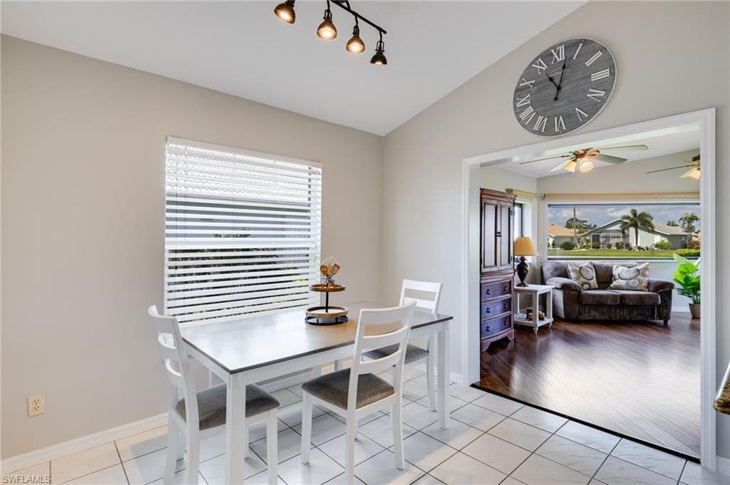 17551 Coconut Palm CT-6
