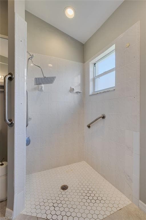 17551 Coconut Palm CT-13