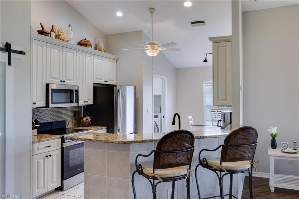 17551 Coconut Palm CT-3
