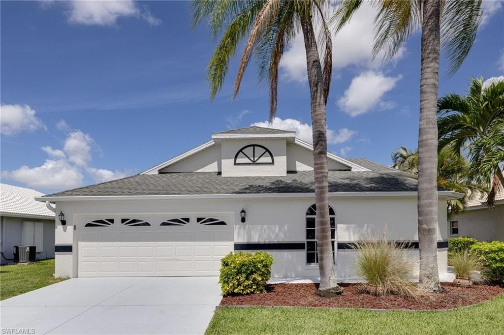 17551 Coconut Palm CT-1