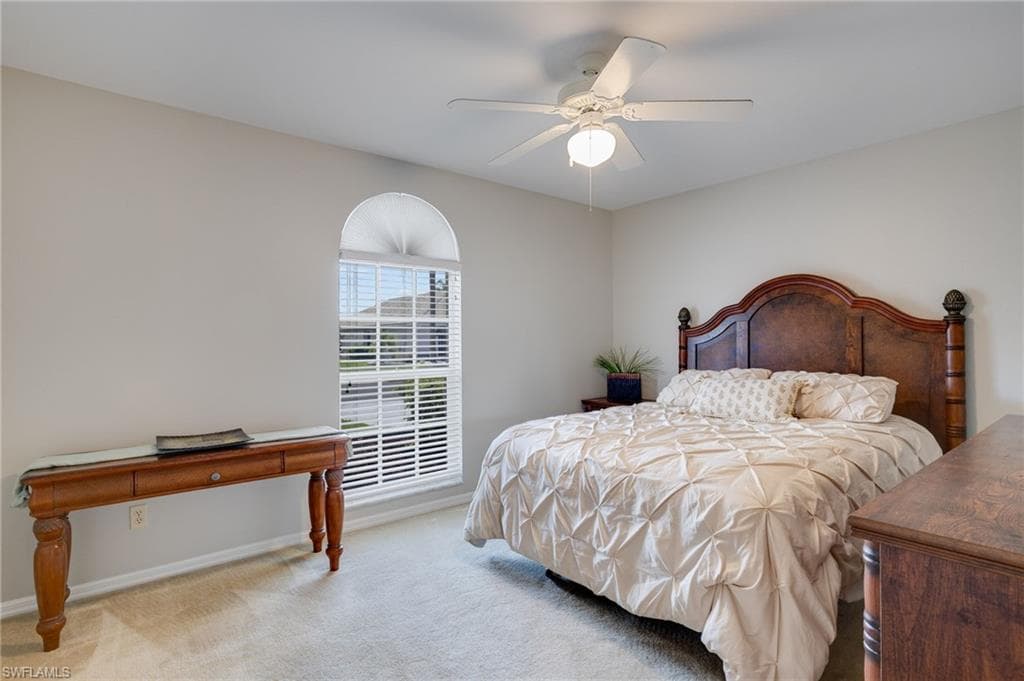 17551 Coconut Palm CT-15