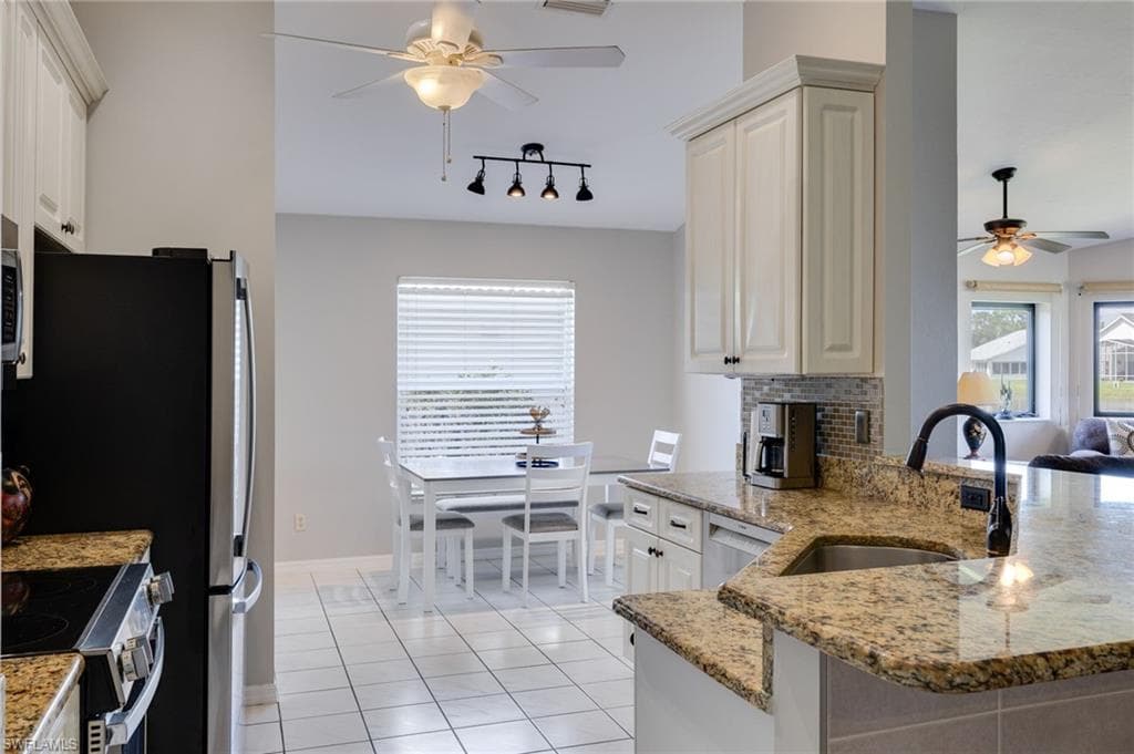 17551 Coconut Palm CT-4