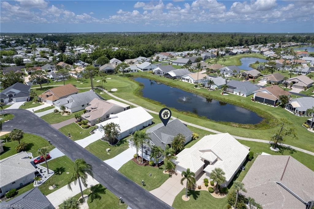 17551 Coconut Palm CT-21