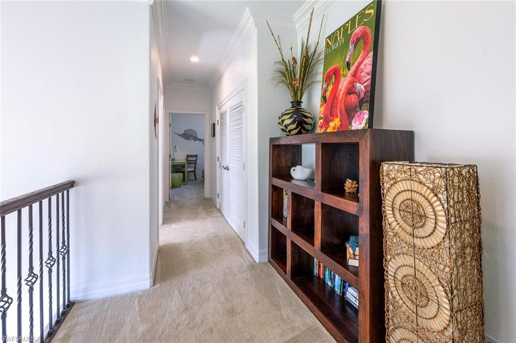 1262 Barrigona CT-17