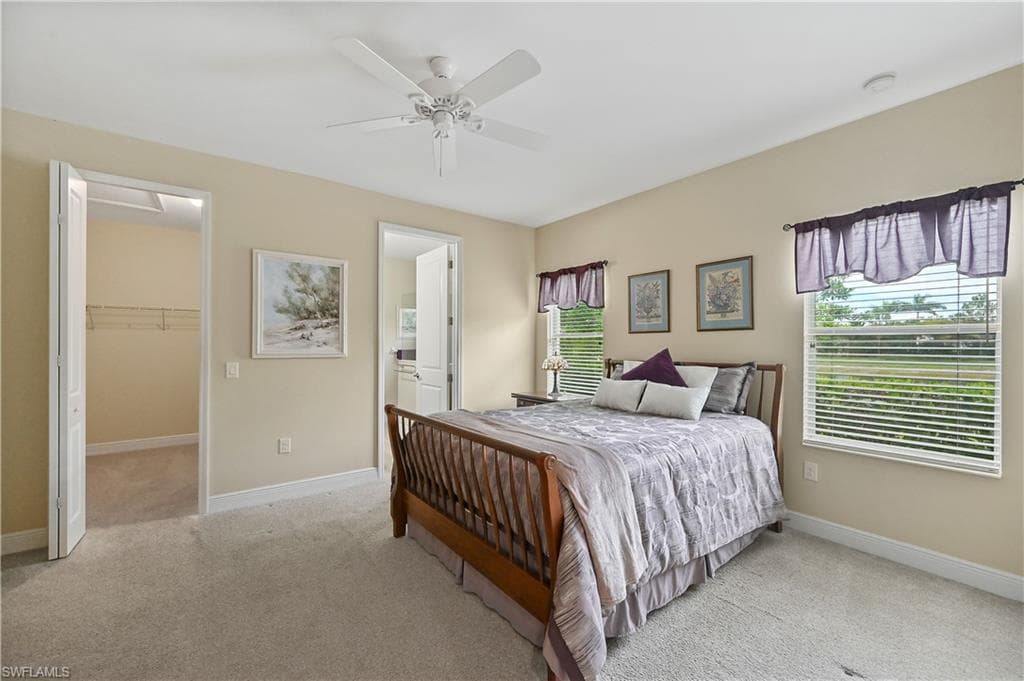 3571 Canopy CIR-36