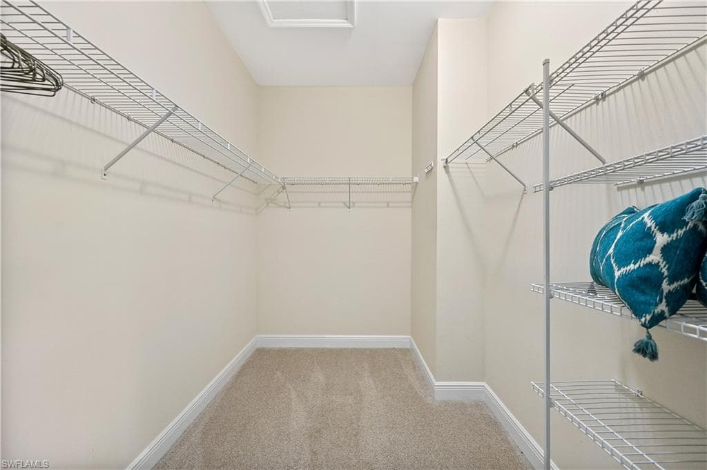 3571 Canopy CIR-37