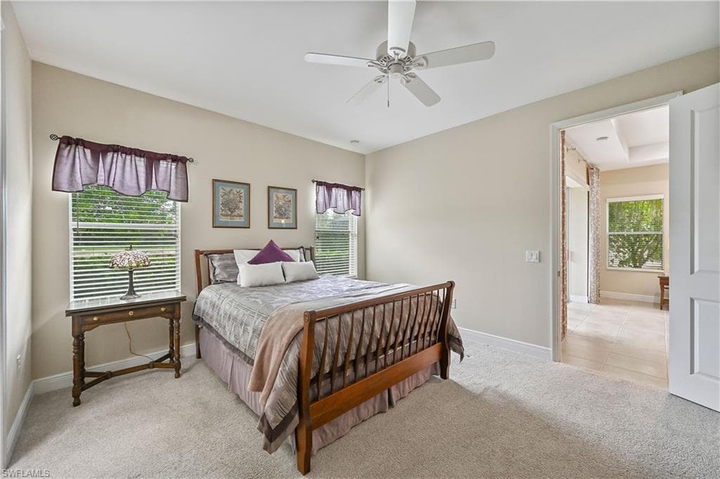3571 Canopy CIR-35
