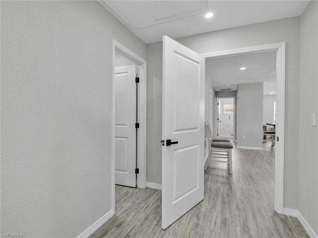 195 Hibiscus DR-24