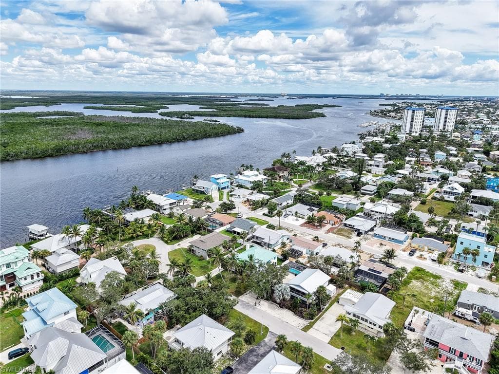 195 Hibiscus DR-49