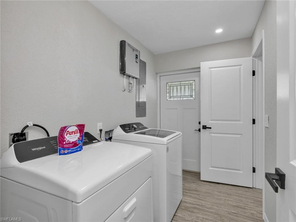 195 Hibiscus DR-25