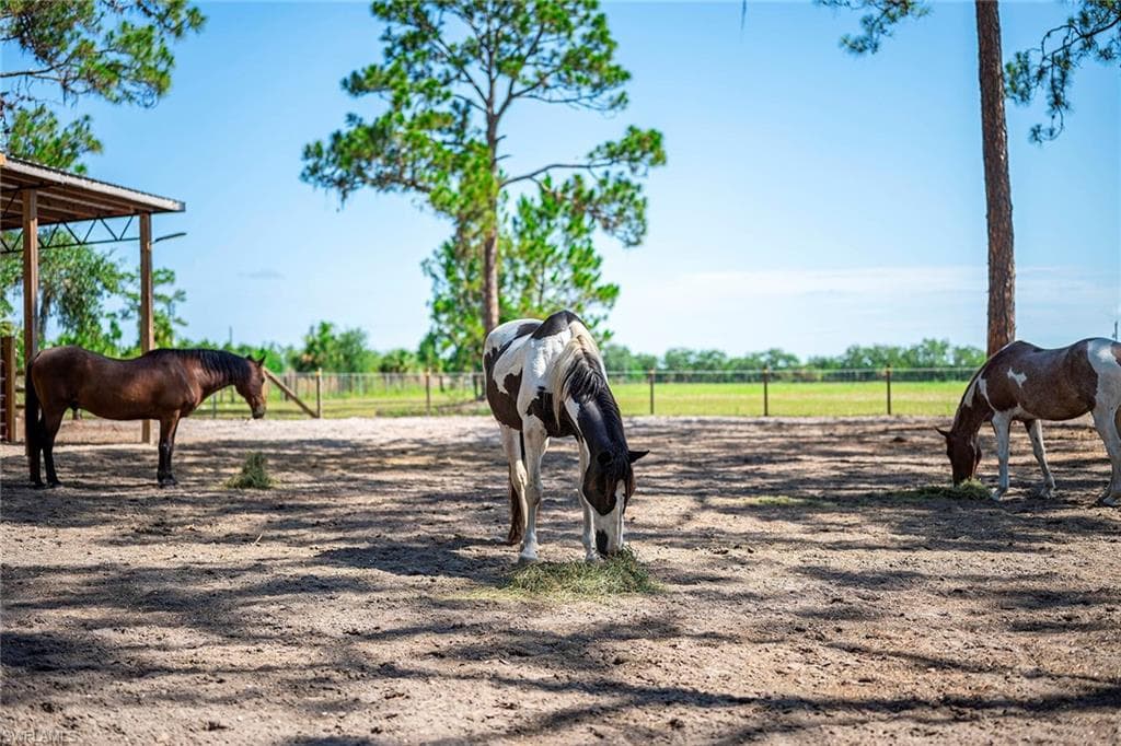 14661 Duke HWY-39