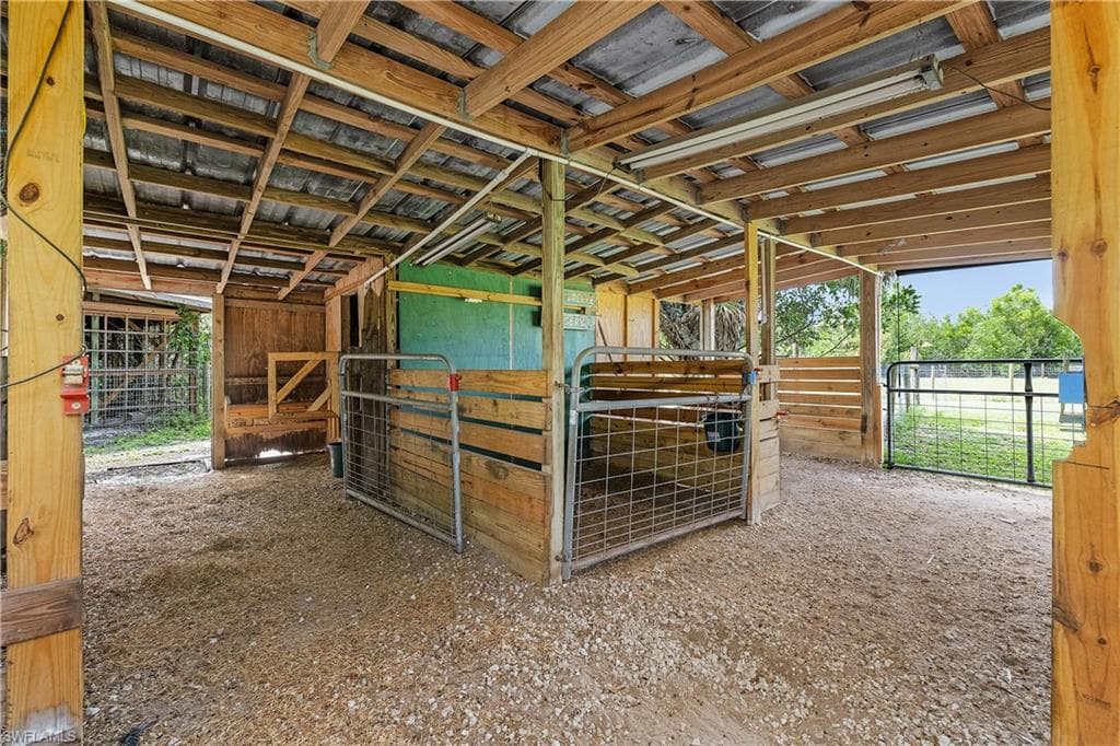 7697 Beach Daisy LN-17