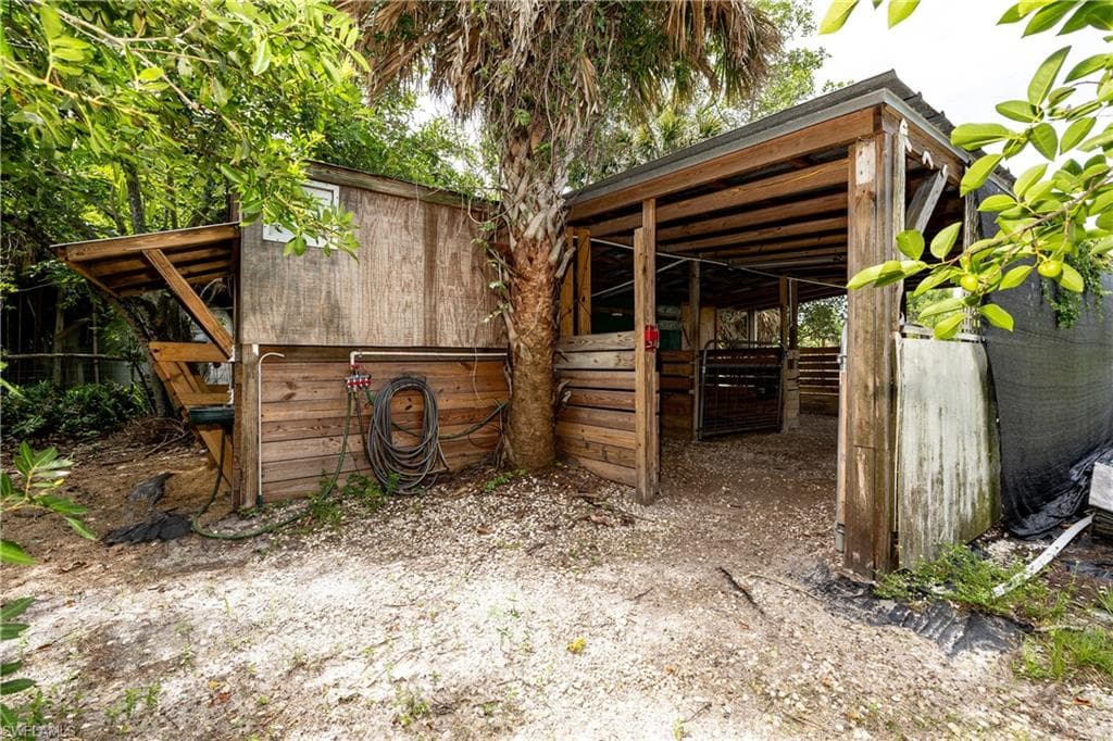 7697 Beach Daisy LN-16
