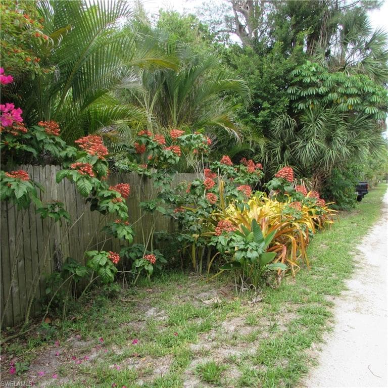 7697 Beach Daisy LN-33