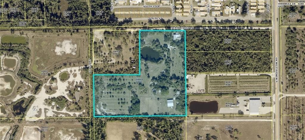 7697 Beach Daisy LN-50