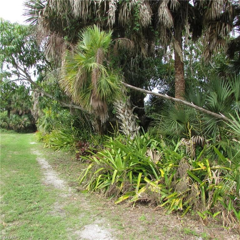 7697 Beach Daisy LN-37