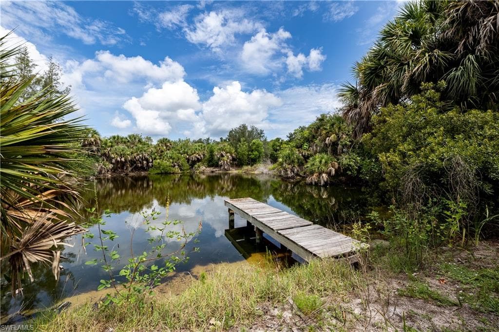 7697 Beach Daisy LN-15
