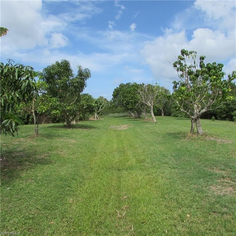 7697 Beach Daisy LN-48