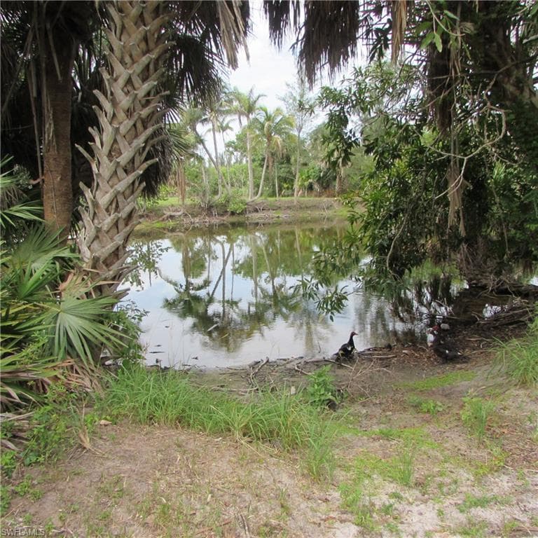 7697 Beach Daisy LN-35