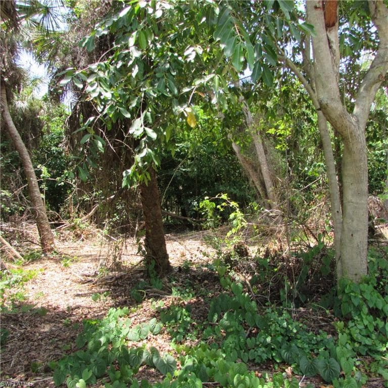 14901 Stringfellow RD-17