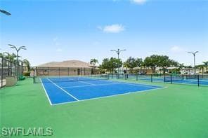 10716 Blue Bimini CIR-18