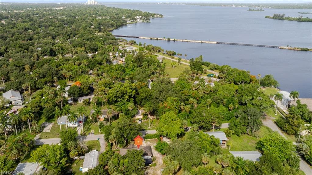 211 Palmacea RD-42