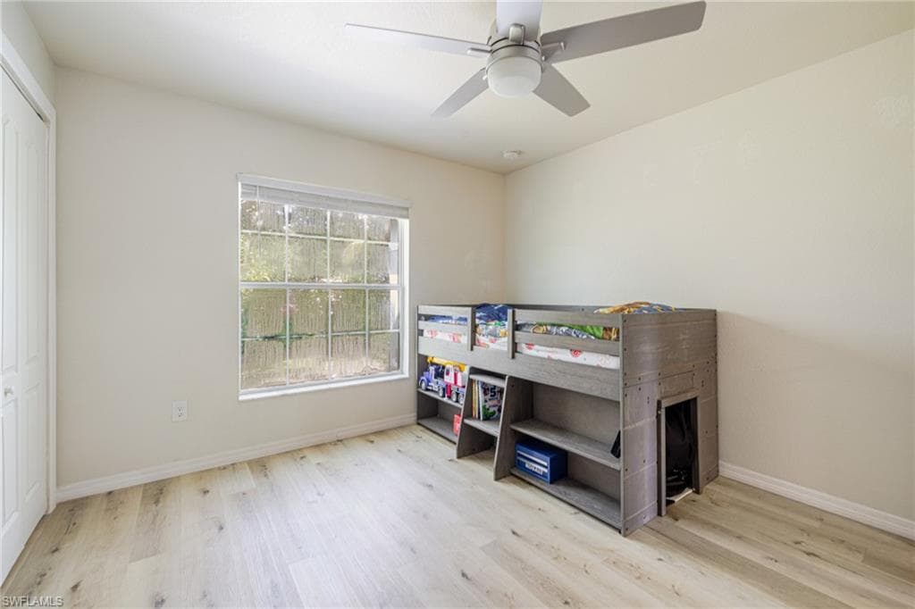 211 Palmacea RD-17