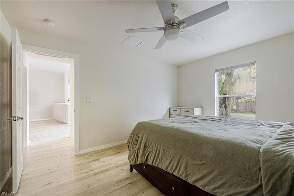 211 Palmacea RD-22