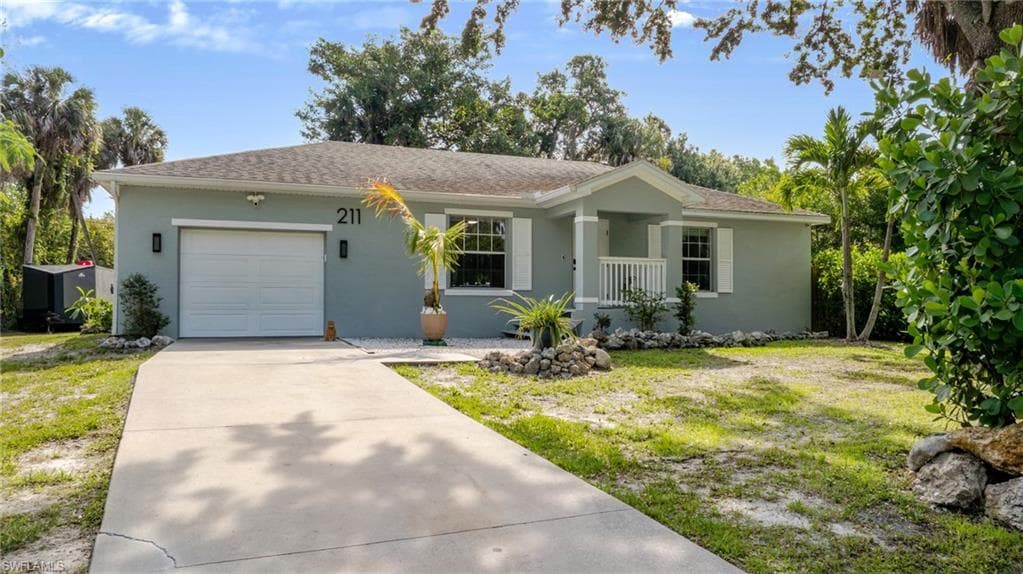 211 Palmacea RD-36
