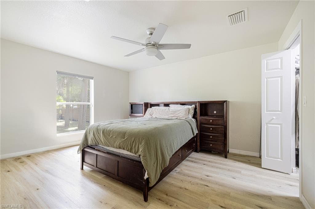 211 Palmacea RD-20