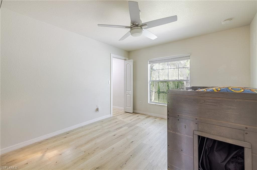 211 Palmacea RD-19