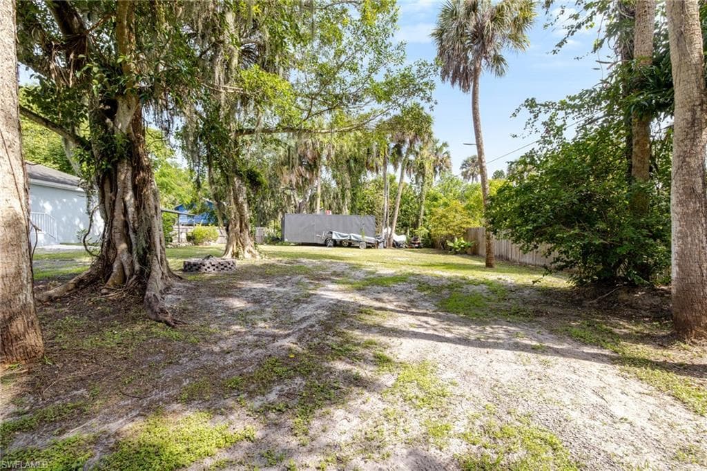 211 Palmacea RD-31