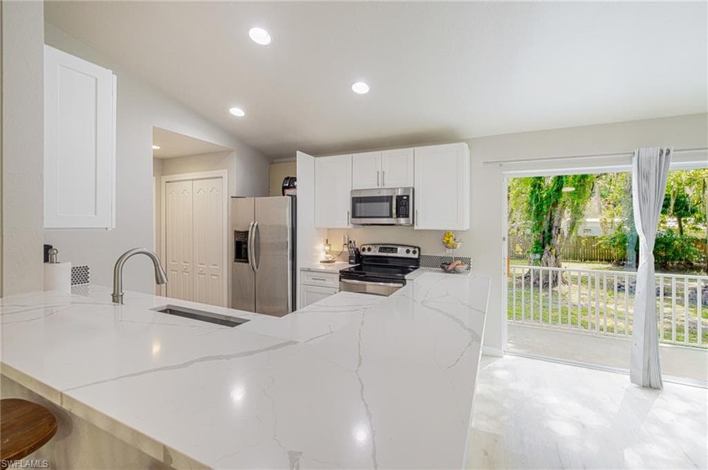 211 Palmacea RD-4