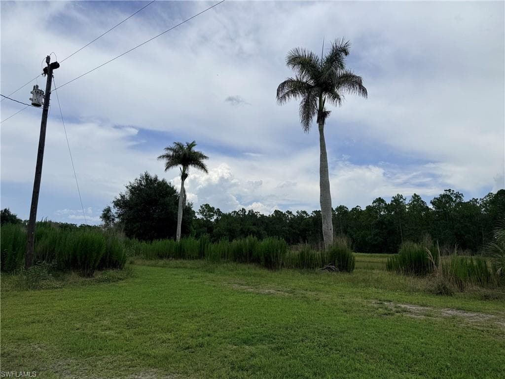 925 Purple Martin DR-43