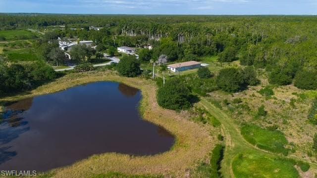 925 Purple Martin DR-16