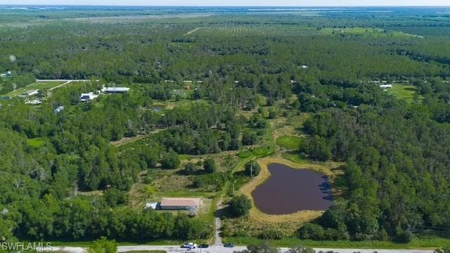 925 Purple Martin DR-3