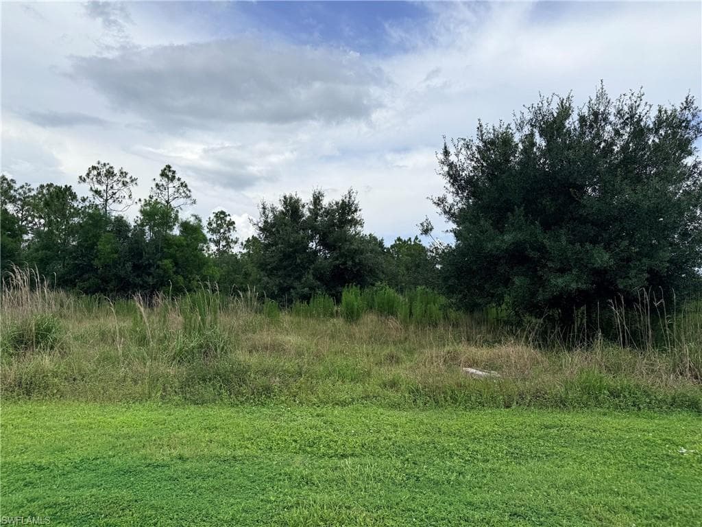 925 Purple Martin DR-32