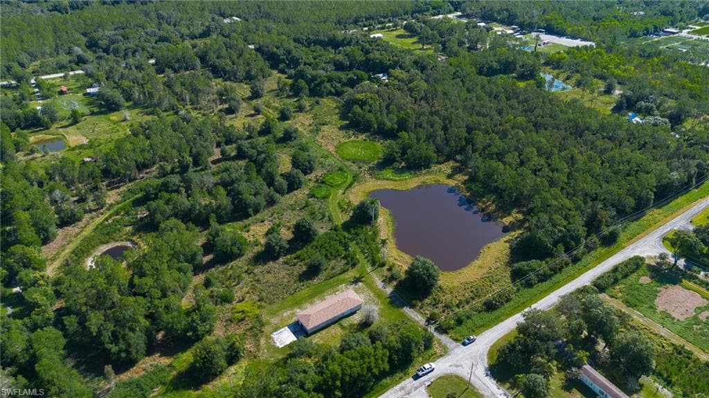 925 Purple Martin DR-1