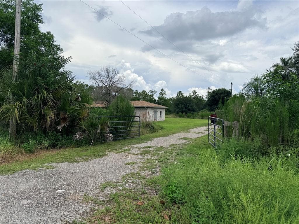 925 Purple Martin DR-24