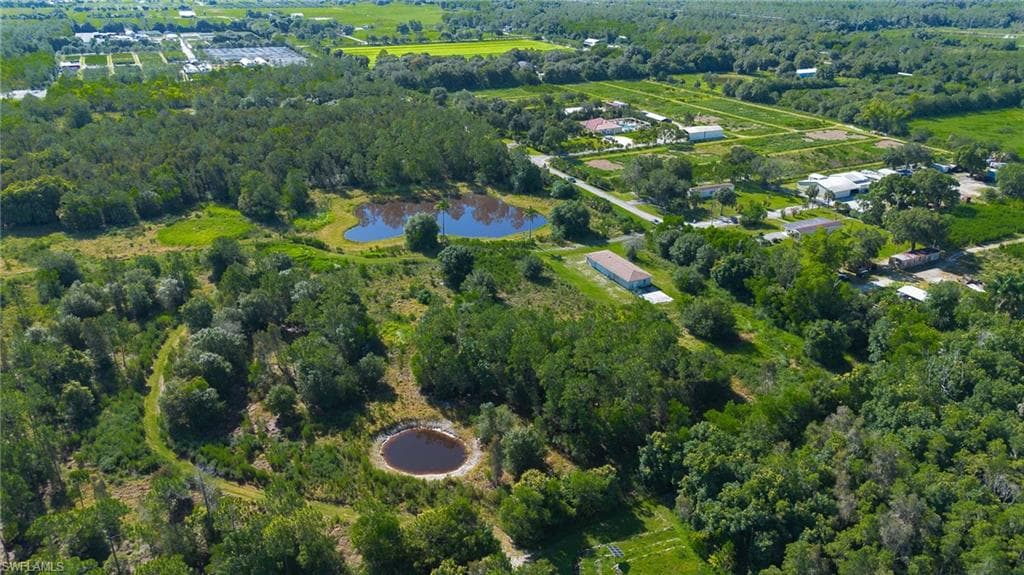 925 Purple Martin DR-49