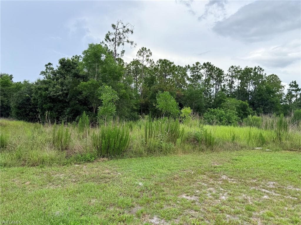 925 Purple Martin DR-33