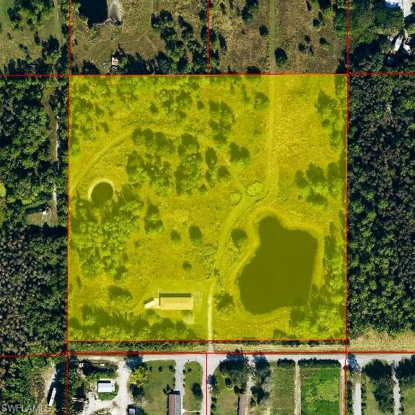 925 Purple Martin DR-50