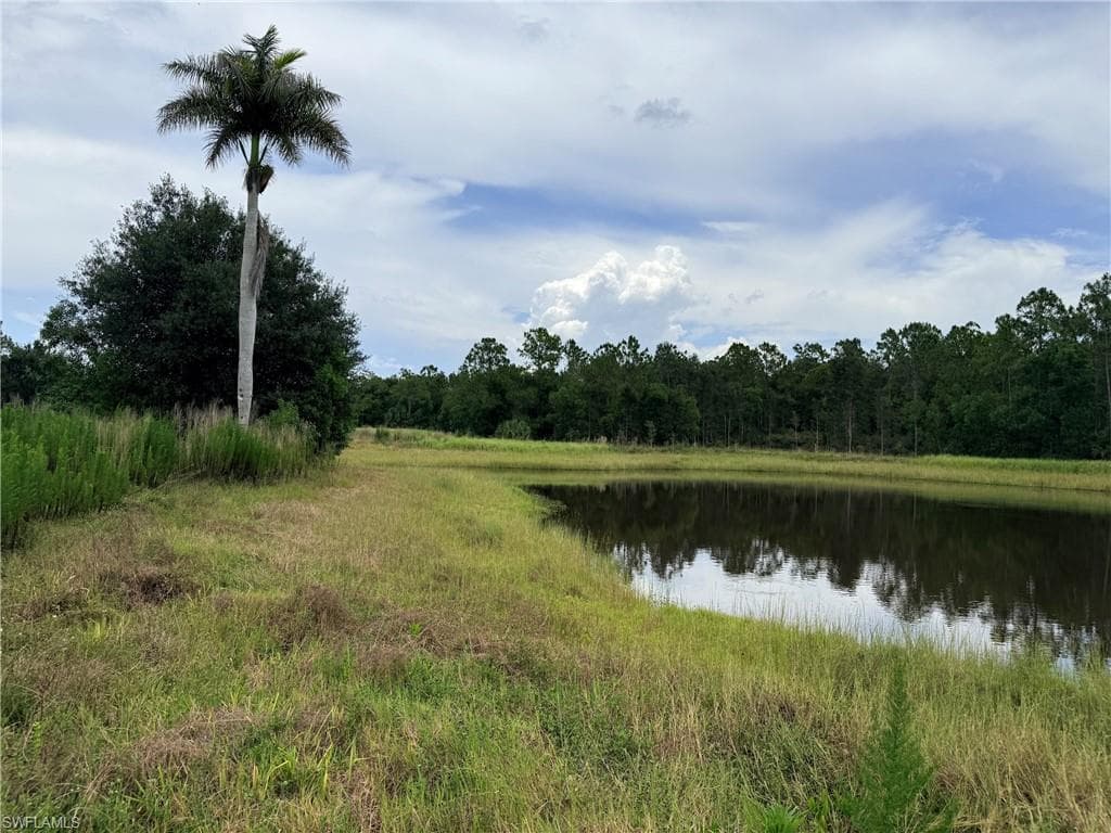 925 Purple Martin DR-37