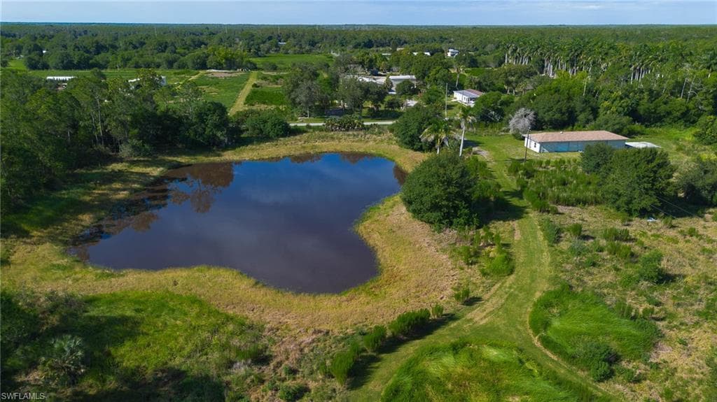 925 Purple Martin DR-15
