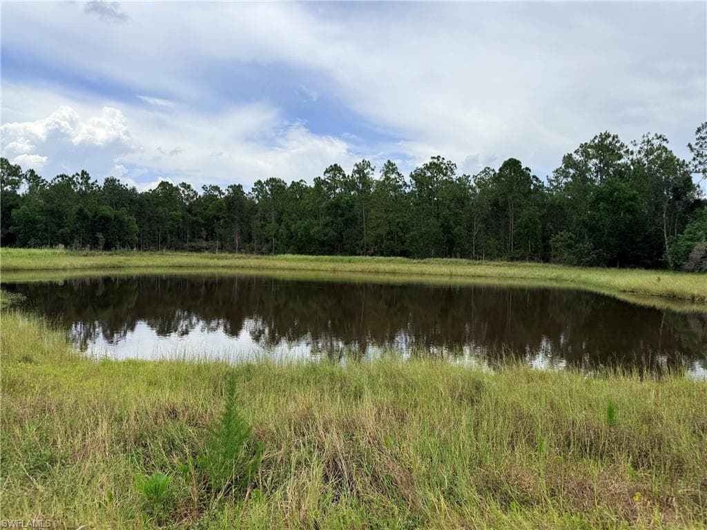 925 Purple Martin DR-19