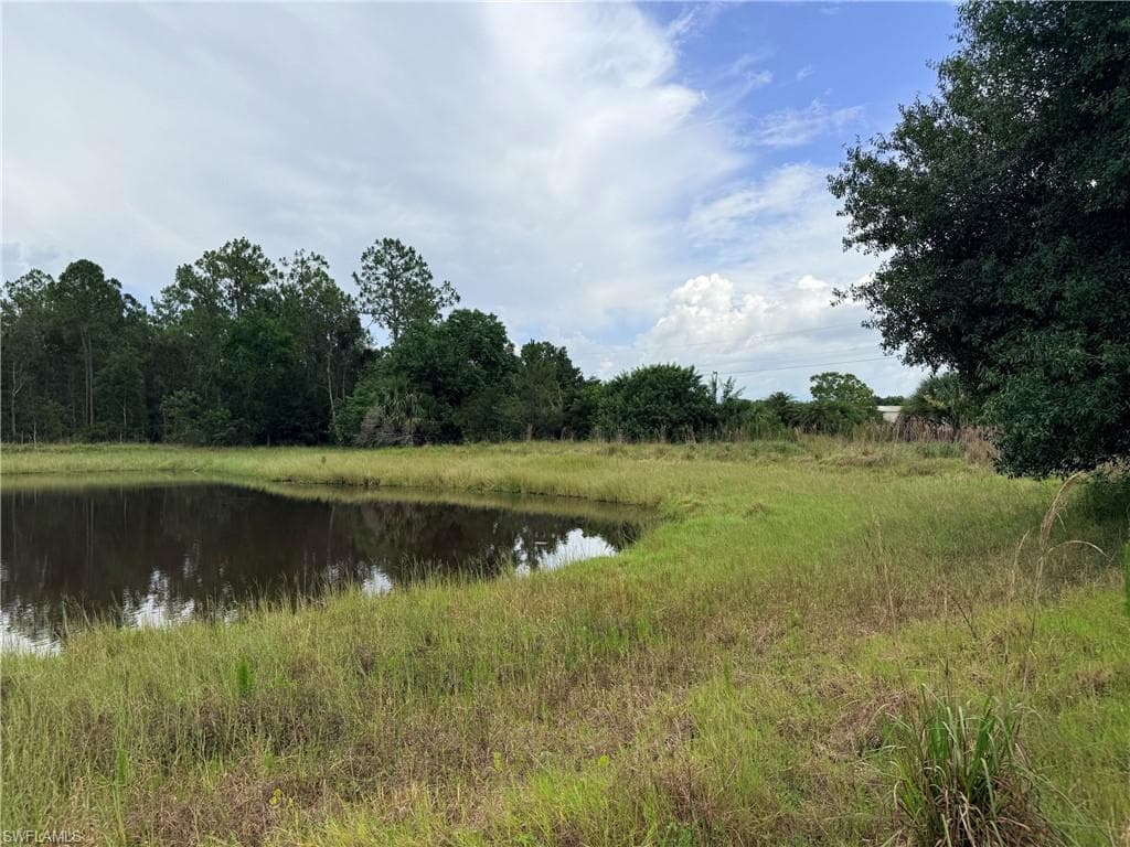 925 Purple Martin DR-40