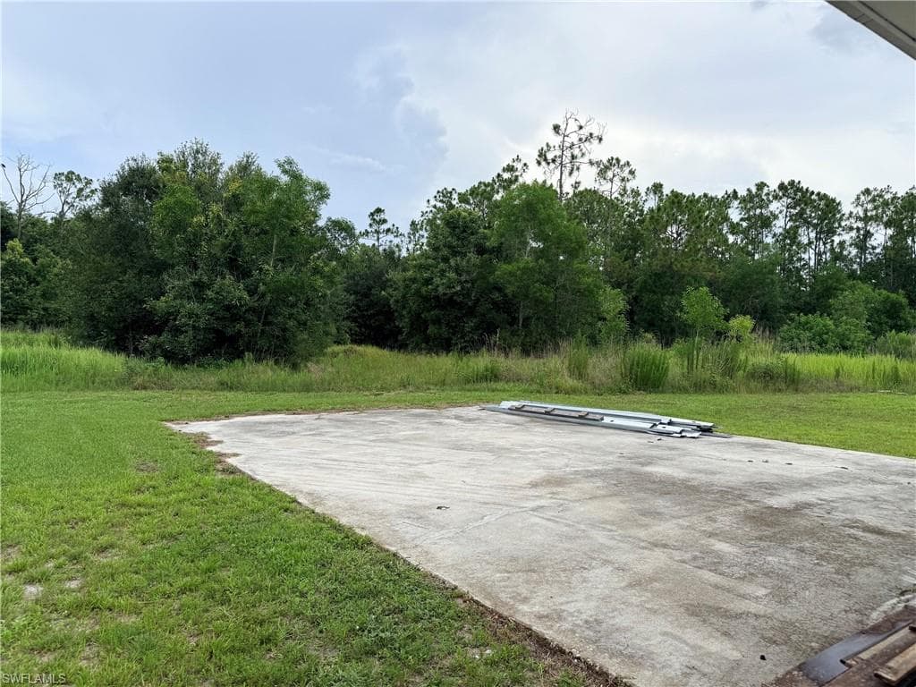 925 Purple Martin DR-31